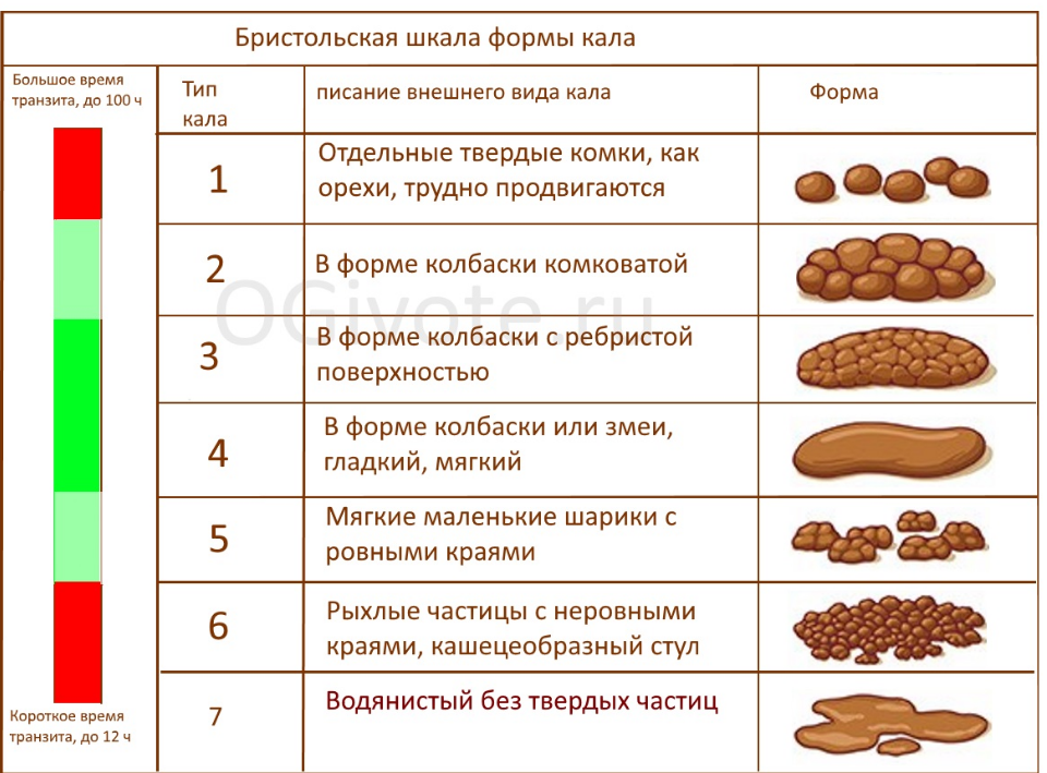 Виды кала у взрослого фото